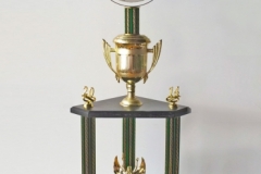 Dr. Lisa's Ego Championship 2014 (They Know You at the Gym), personalized mirror trophies